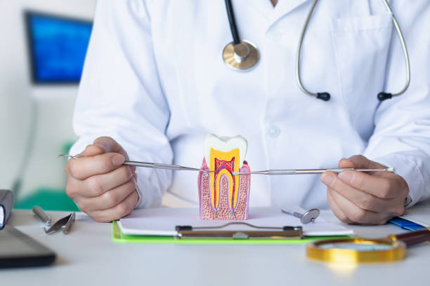 Best Emergency Treatment for Toothache in Harper, KS